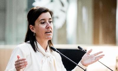 An Hermans in de plenaire zitting van het Vlaams Parlement