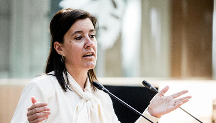 An Hermans in de plenaire zitting van het Vlaams Parlement